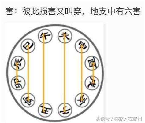 天干地支相生相剋